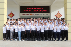 總結過去，計劃未來，協同創(chuàng)新，再創(chuàng)佳績！洛陽正大舉行2023年上半年工作總結會議